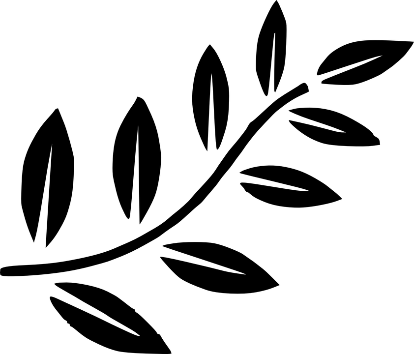 Shidagakure Fern - Olive Branch Clipart Black And White (842x720), Png Download
