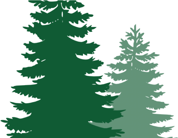 Pine Trees Cliparts Pine Tree Vector Png Full Size Png Download Seekpng