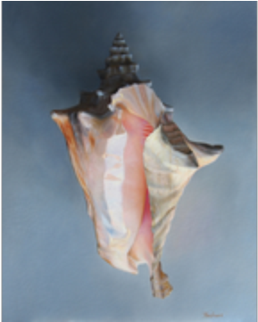 Joe Jackson Iii - Joe Jackson (500x360), Png Download