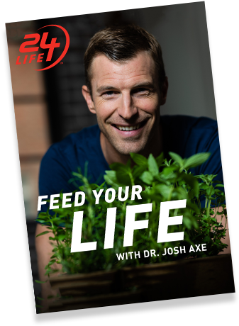 Mindset- Lead Your Life - Flyer (400x469), Png Download