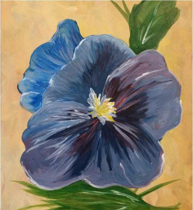“blue Pansy” - Chinese Hibiscus (1080x675), Png Download