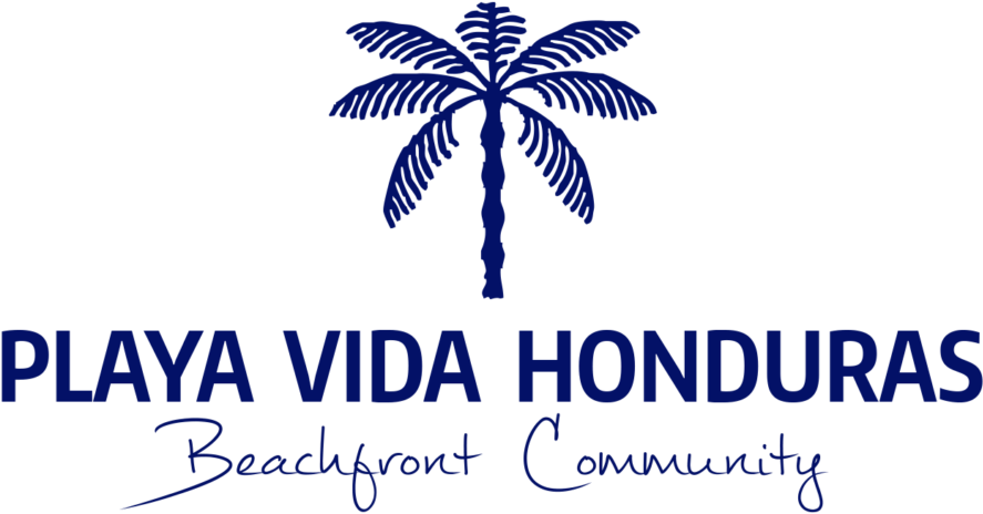 Featured On Hgtv - Sandwich (1024x609), Png Download