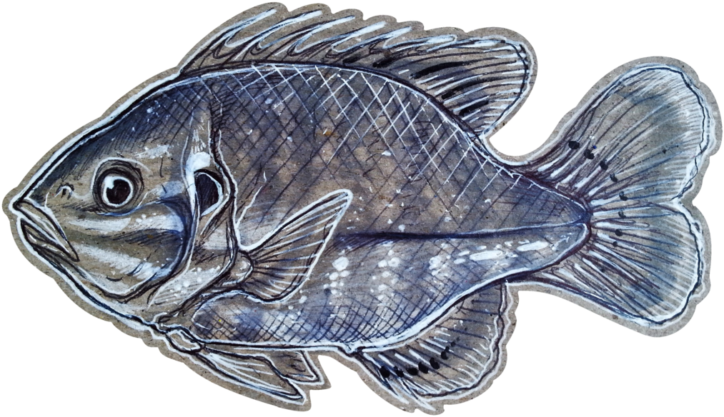 Stick By Shon On (1024x605), Png Download