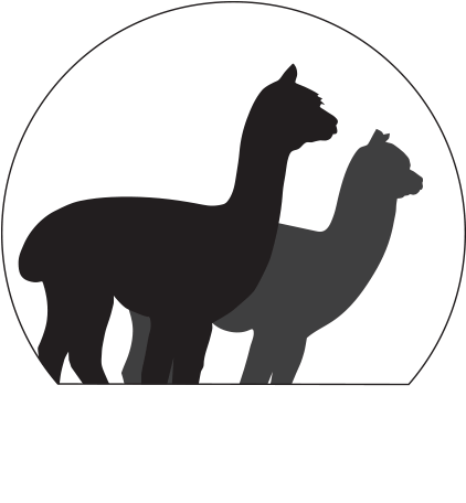 Home Gallin Farm Alpacas And Farmstay - Alpacas Silhouette (442x477), Png Download
