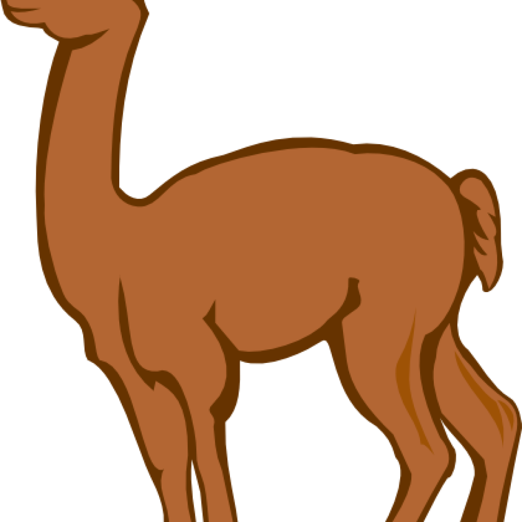 Llama Birthday Hatenylo Com Clip Art Panda - Animadas Imagenes De Una Alpaca (1024x1024), Png Download