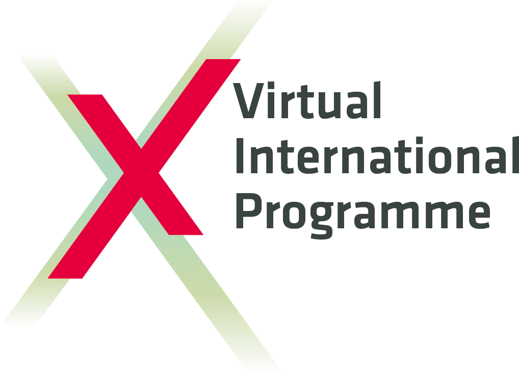 16432 Pfz Xell Virtual International Programme Cmyk - Baltic Sea Region Programme (1060x751), Png Download