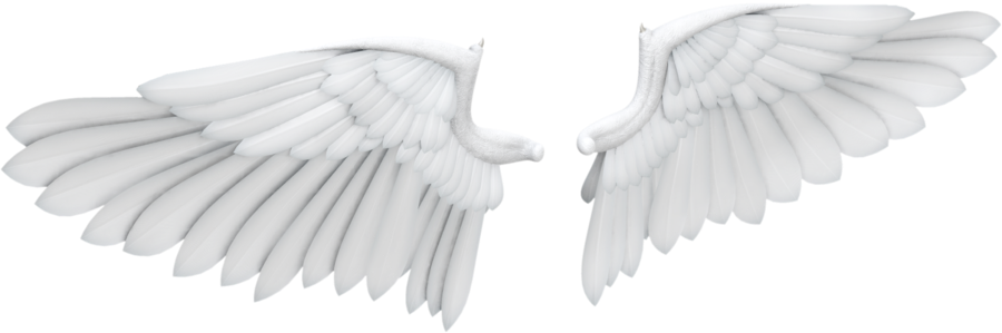 Reacciones - - Alitas De Angel Png (900x299), Png Download