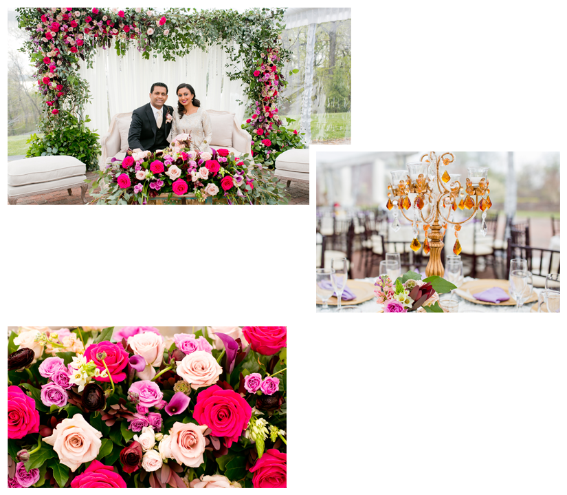 Aaliyah Sami Event Slider - Garden Roses (850x800), Png Download