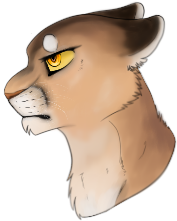 Cougar Drawing Ig By Skeletalkitten On Deviantart - Cougar Drawing Cartoon (825x968), Png Download