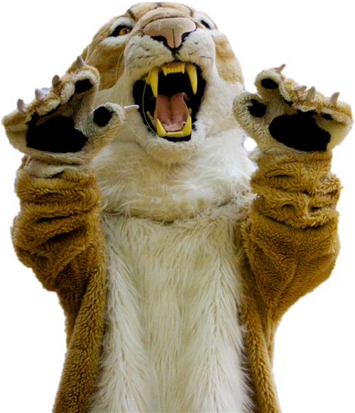 Cougar (500x594), Png Download