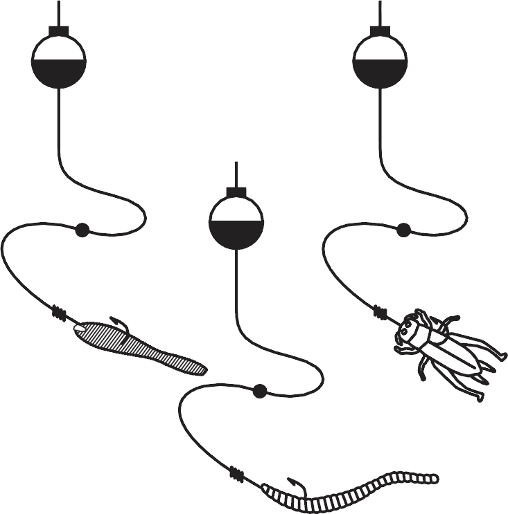 Fishing (733x743), Png Download