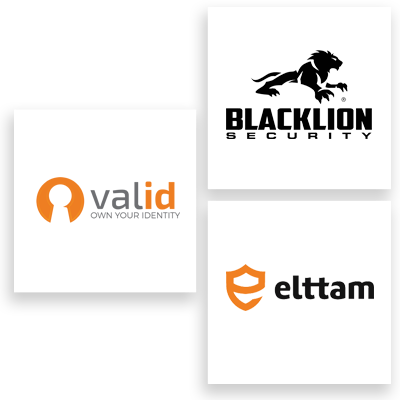 Security Logo Examples - Black Lion (400x400), Png Download
