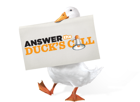 Aflac Duck (456x366), Png Download
