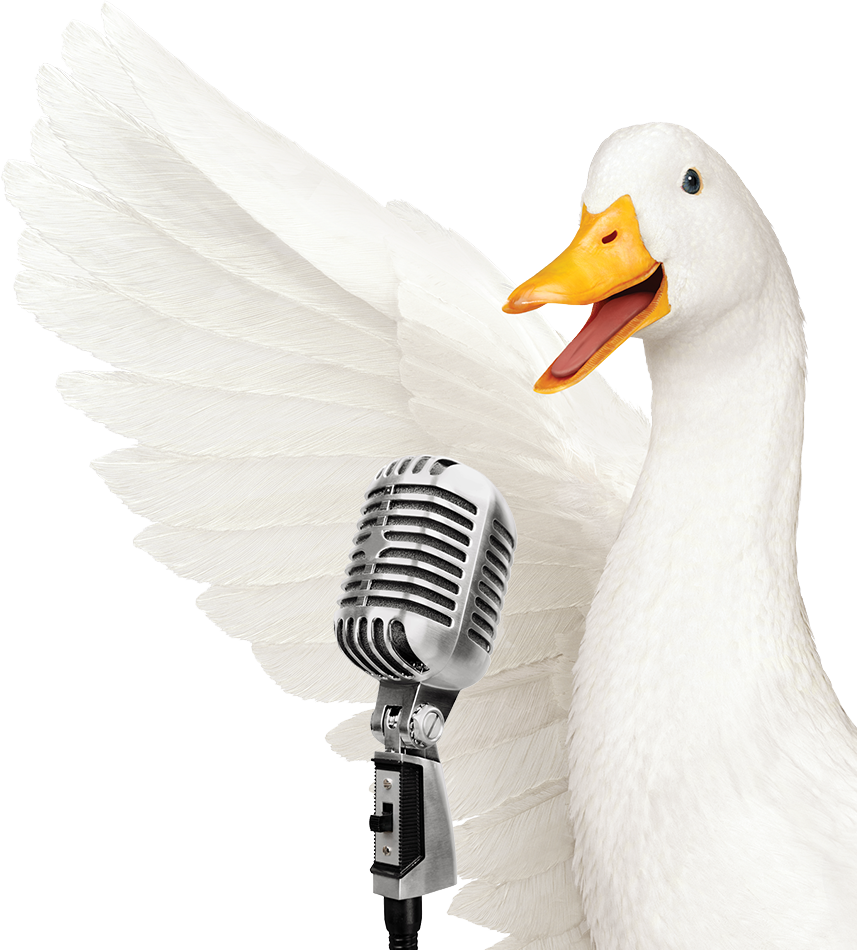 Duck (857x950), Png Download