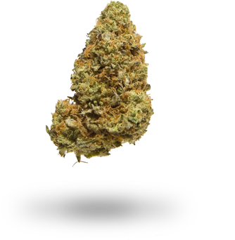 X - Cannabis (384x412), Png Download