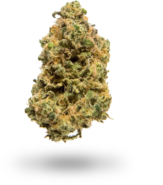 X - Christmas Tree (384x412), Png Download