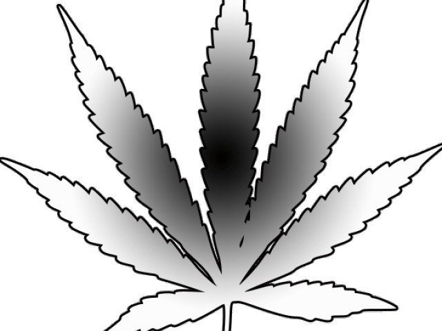 Weed Clipart Weed Bud - Full Black Weed Tattoo (640x480), Png Download