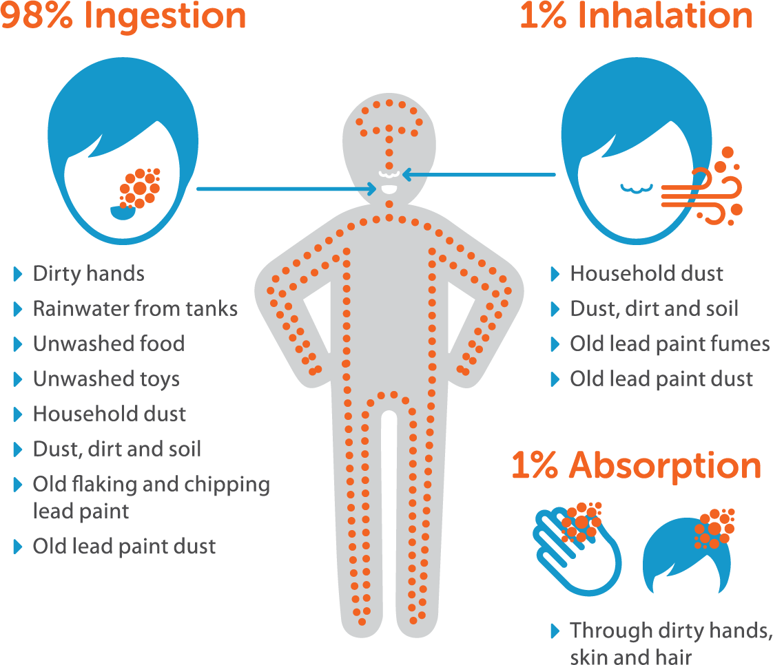 Main Exposure Pathways Of Lead Diagram Full Size Png Download Seekpng