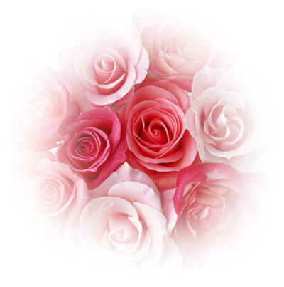 Rosas Png Tubes Picture Royalty Free Library - Rose (400x403), Png Download