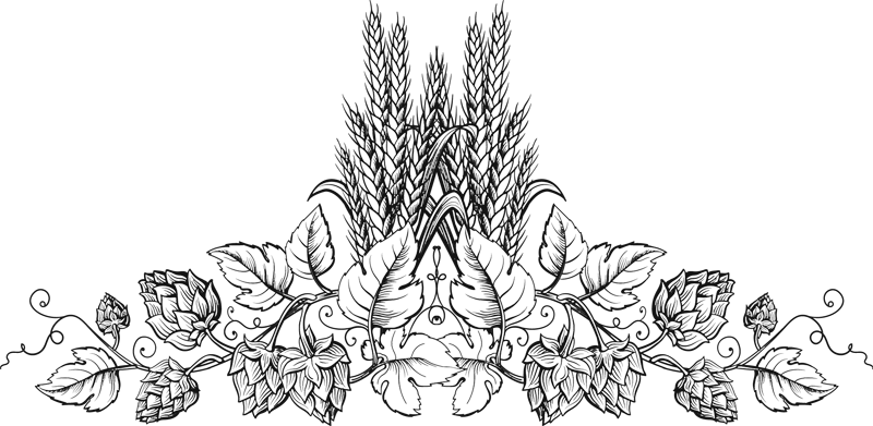 Scroll - Houblon Design (800x391), Png Download