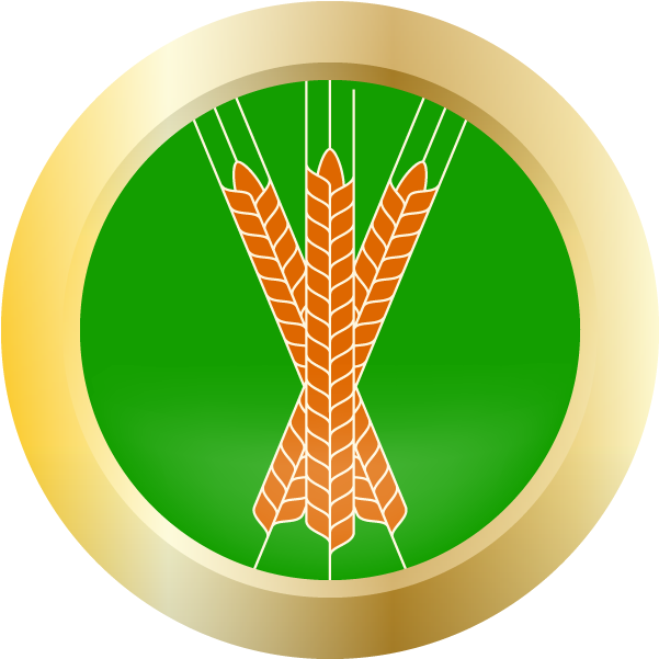 Circle (800x600), Png Download