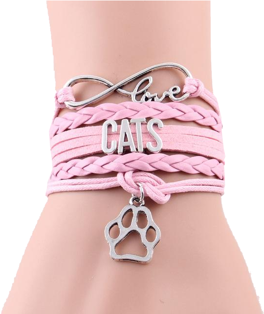 Cat Love Bracelet - Infinity Love Cats Bracelet Charm Blue Bracelets Gift (640x640), Png Download