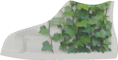 Watercolor Vines, Climbing Plant Women's Classic High - Outdoor Shoe (500x500), Png Download