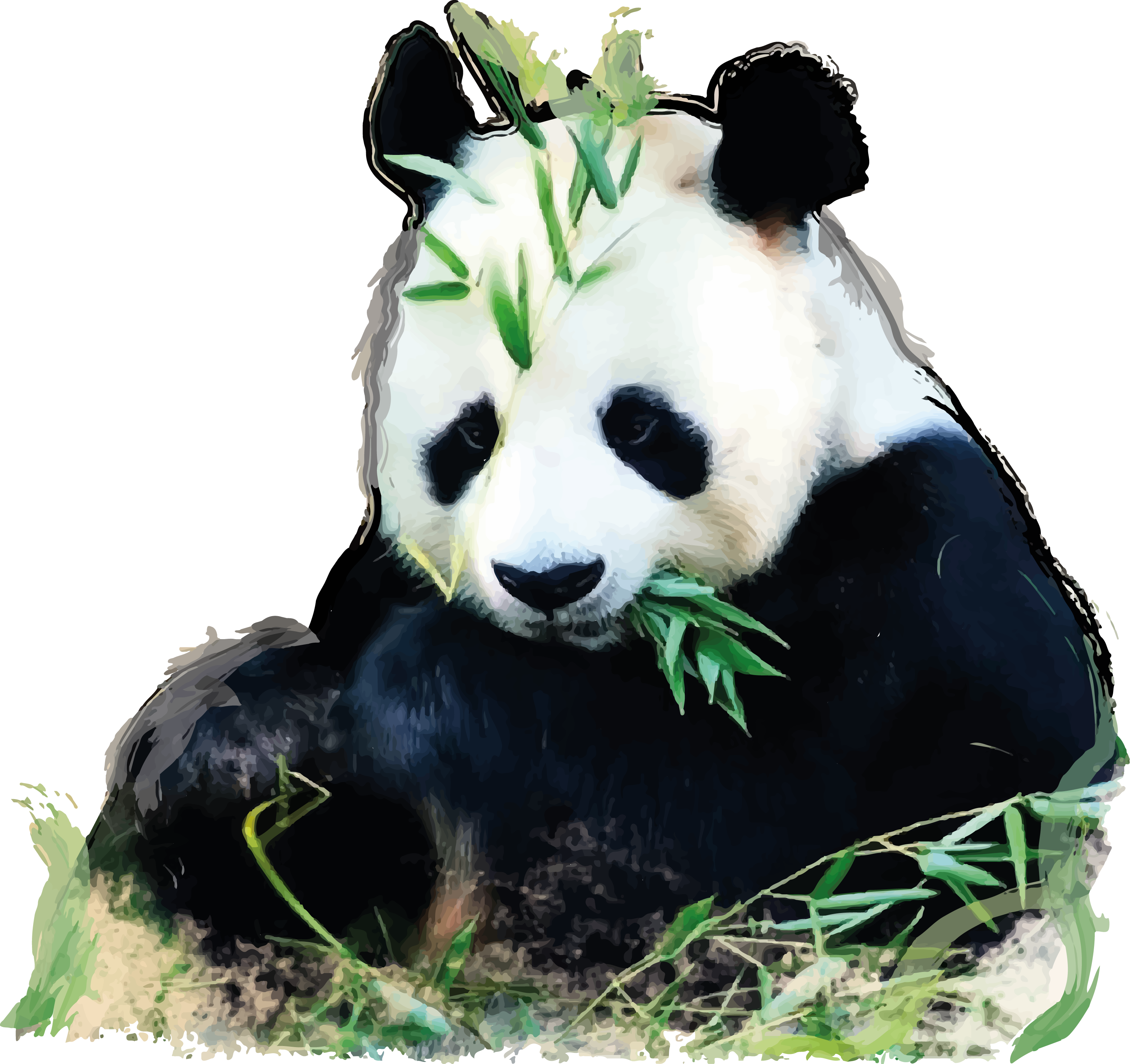 Giant Pandas Live In Central China In Some Mountain - Panda Herbivore (3142x2960), Png Download