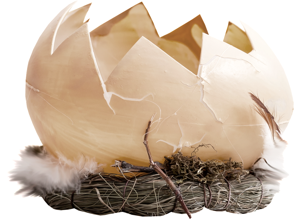 Broken Egg Shell Cartoon Transparent - Hình Ảnh Quả Trứng Vịt Nở (1024x763), Png Download