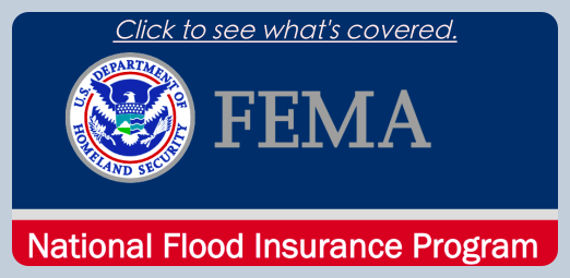 Fema National Flood Insurance Program What's Covered - Department Of Homeland Security Fema (522x255), Png Download