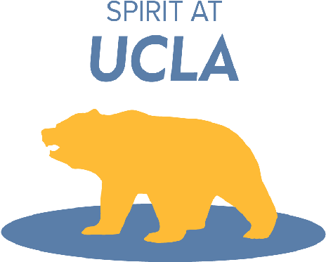Ucla Spirit Logo - Ucla Bruin Bear Png (500x397), Png Download