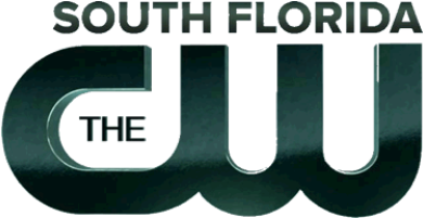 South Florida The Cw Logo 898 - Wswb Tv 38 Scranton (600x200), Png Download