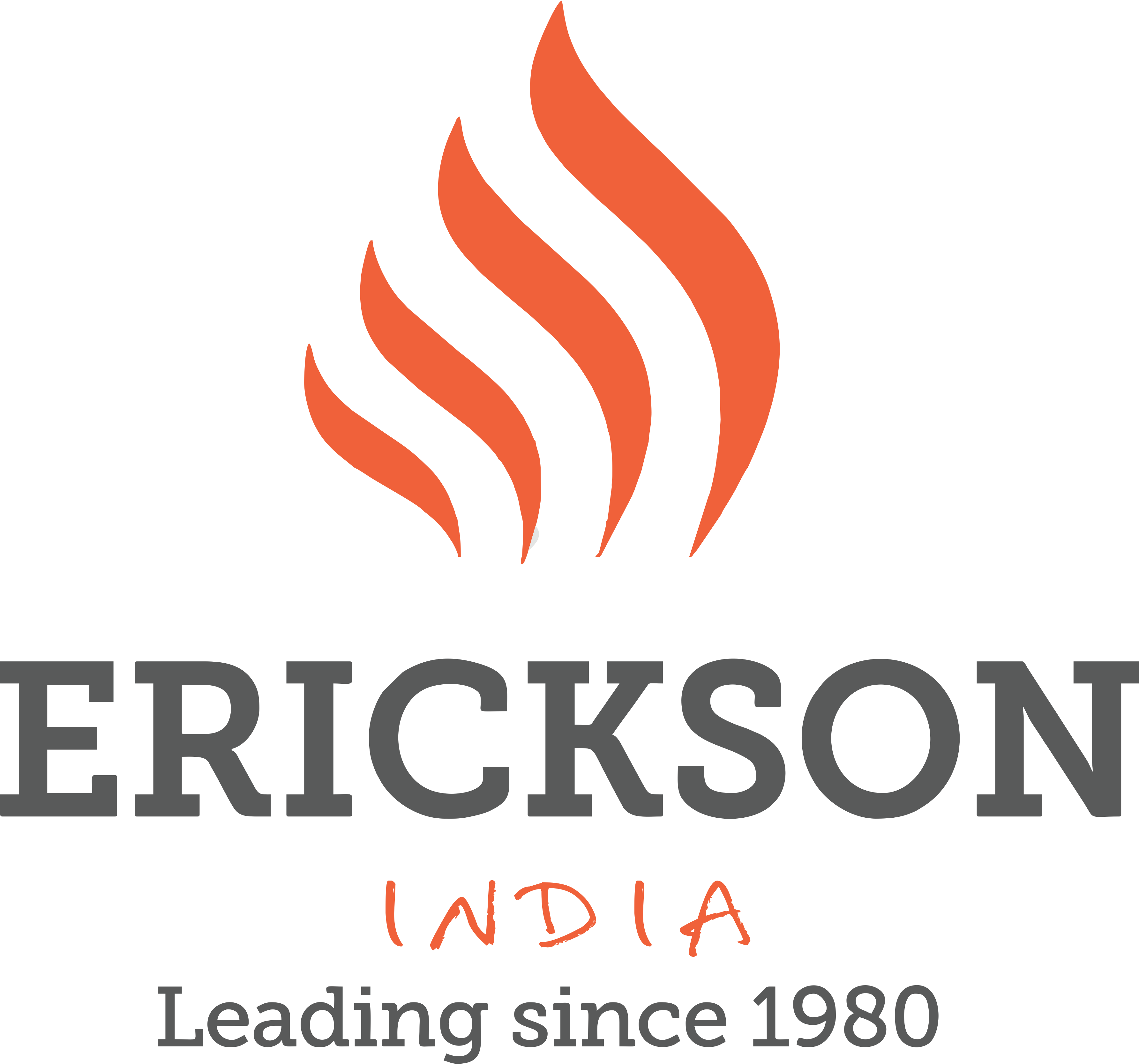 Erickson Coaching International (4112x3775), Png Download