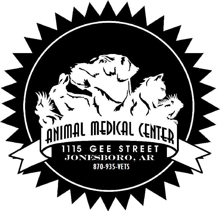 Amc Logo - Certificate Gold Seal Png (744x722), Png Download