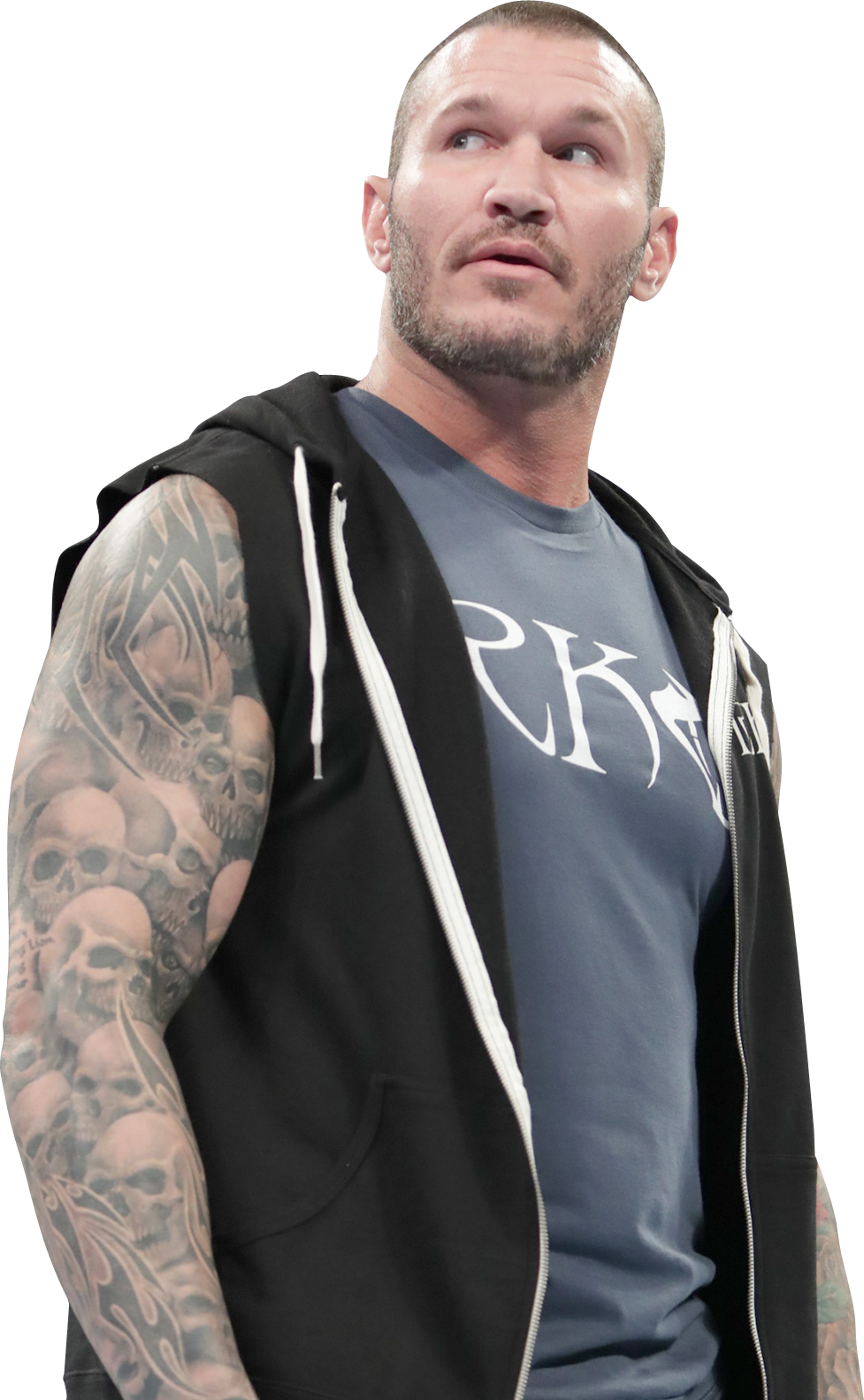 Renders Backgrounds Logos - Randy Orton (977x1583), Png Download