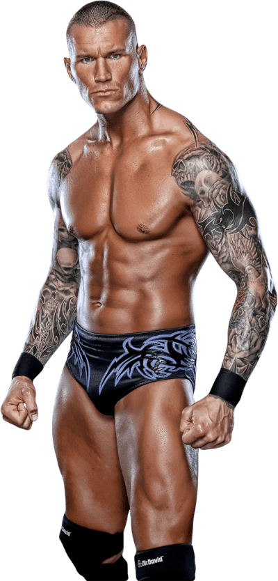 Randy Orton Images 2012 (400x834), Png Download
