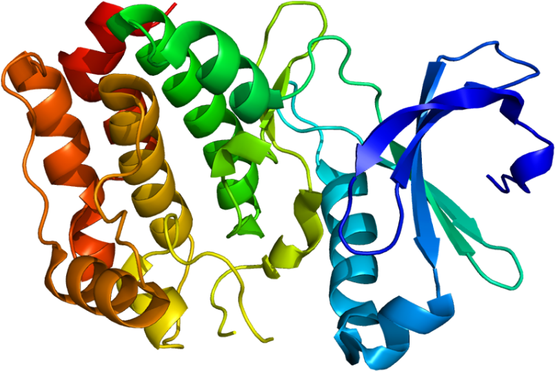 Structure Of The Aurora A Kinase Protein - Virus In Vitro (850x583), Png Download