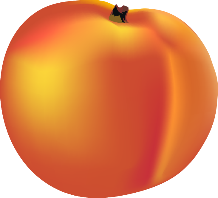 Clip Free Library Buncee My Favorite Part Of Is When - James And The Giant Peach Transparent (731x664), Png Download