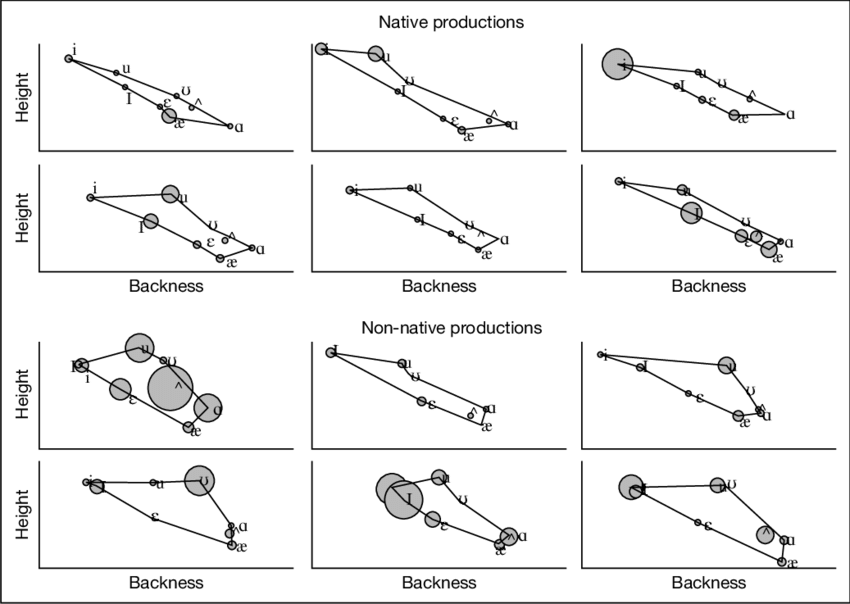 Vowel Location And Variability Across Speakers - Gun Barrel (850x604), Png Download