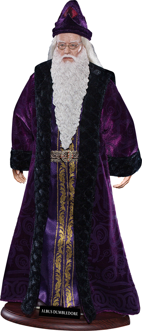 Albus Dumbledore (480x1120), Png Download