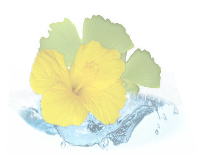 Biofluid Eyes And Lips With Hyaluronic Acid - Ginko Biloba (393x311), Png Download