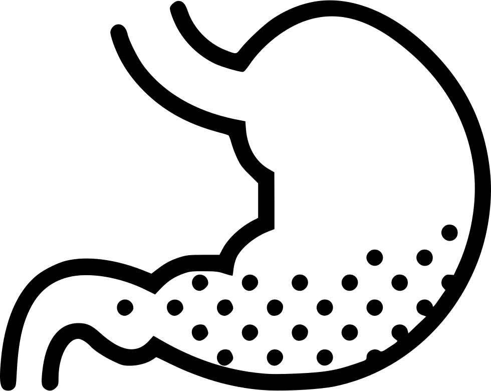 Png File - وکتور معده (980x780), Png Download