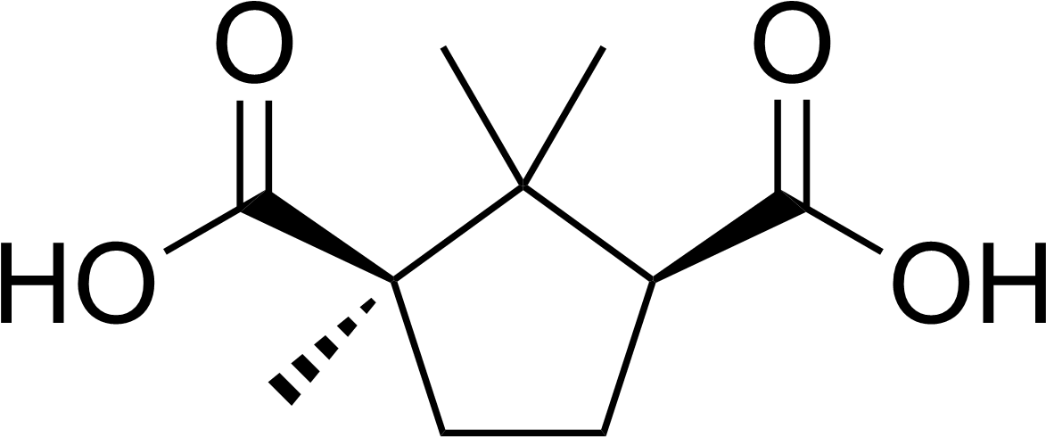 Camphoric Acid - 4 Hydroxyphenylpyruvate (1208x506), Png Download