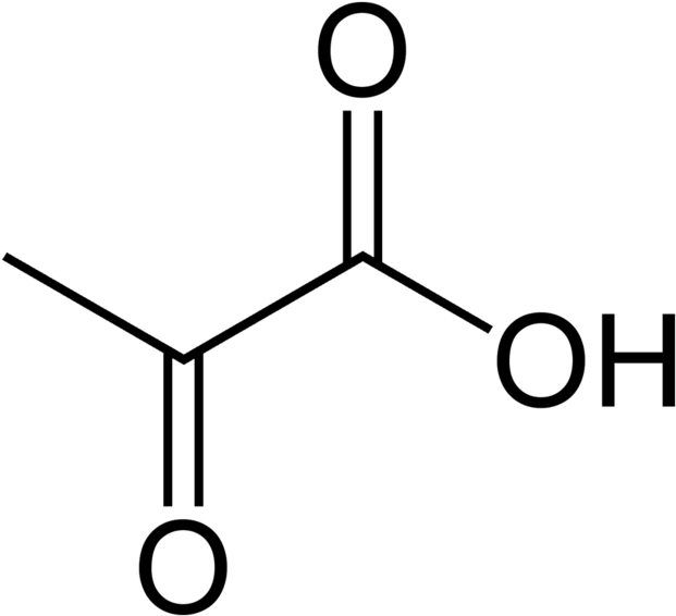Pyruvic Acid Can Be Made From Glucose Through Glycolysis, - Cyclohexyl Acetic Acid (680x625), Png Download