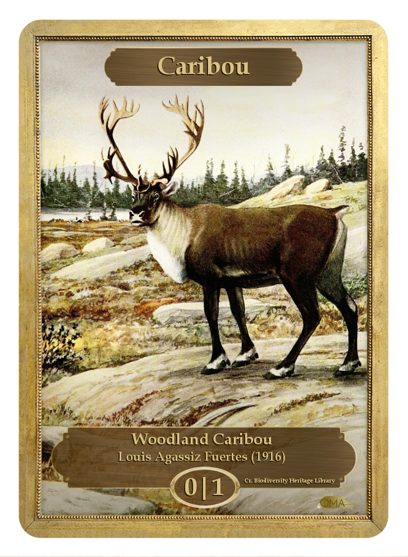 Caribou Token By Louis Agassiz Fuertes - Mtgo Caribou Token (822x1122), Png Download