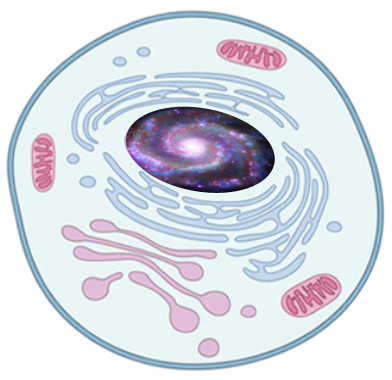 The Unknown Of The Outer Space Fascinates Humankind - General Knowledge (392x380), Png Download