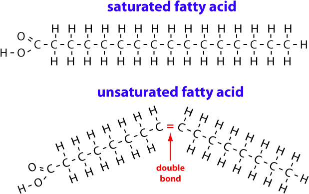 Fatty Acid (674x480), Png Download