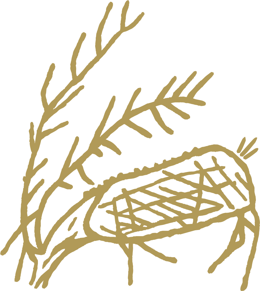 Native American Petroglyph - Illustration (884x1055), Png Download