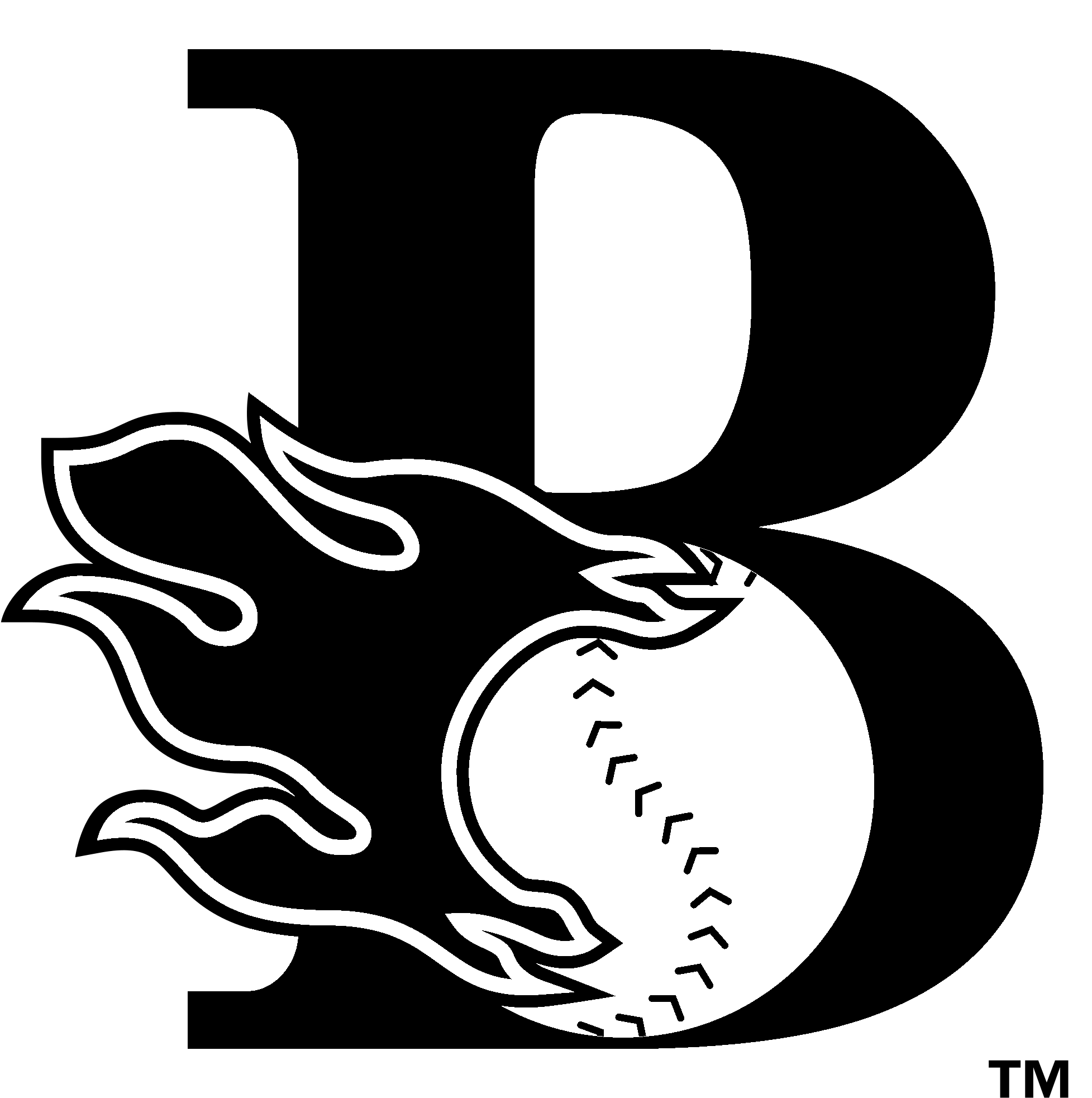 Bakersfield Blaze Logo Black And White - Bakersfield Blaze Logo (2400x2400), Png Download