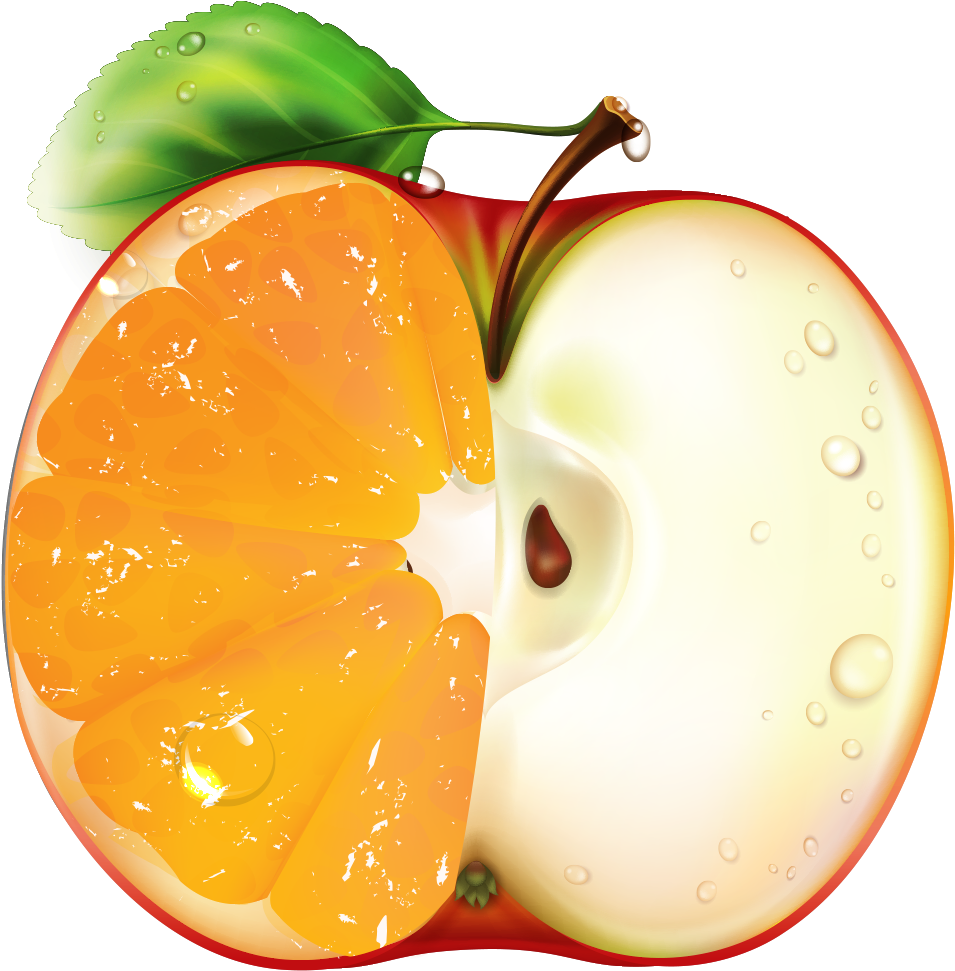 Logo - Genetically Modified Organism (1024x1024), Png Download